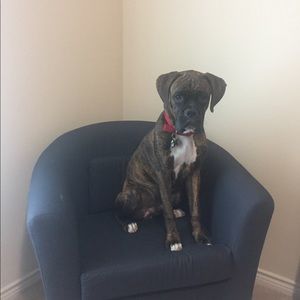 Meet your Posher, Jade